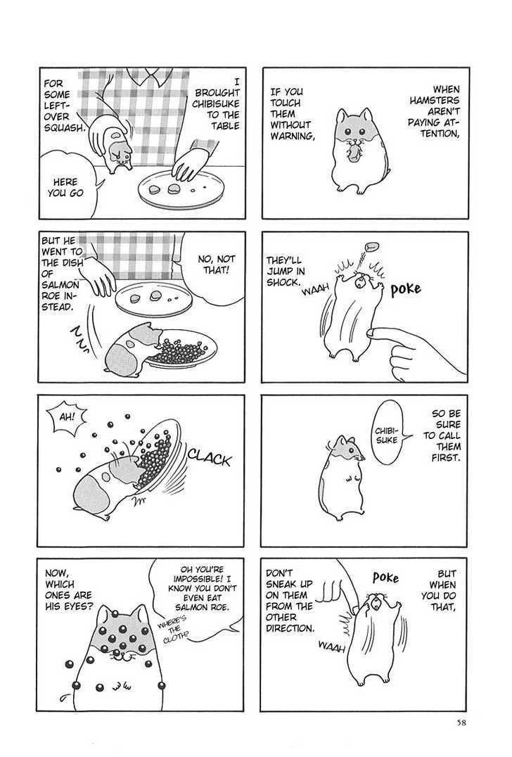 Hamster no Kenkyuu Report Chapter 7 2